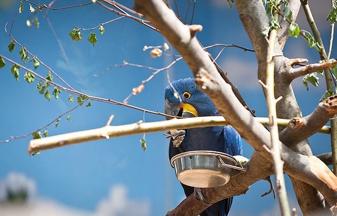 免费短信电话轰炸机