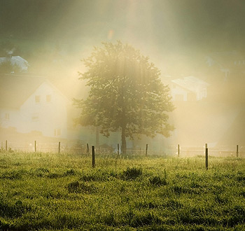 在线电话轰炸测试