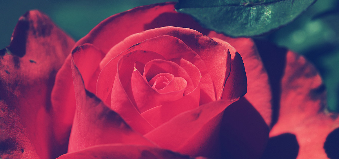 电话压力测试器